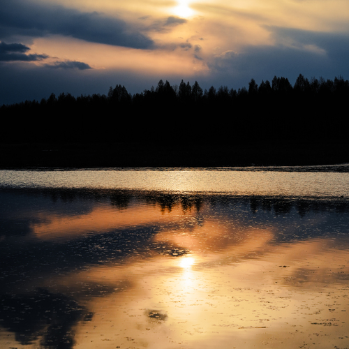 Photo #13791022