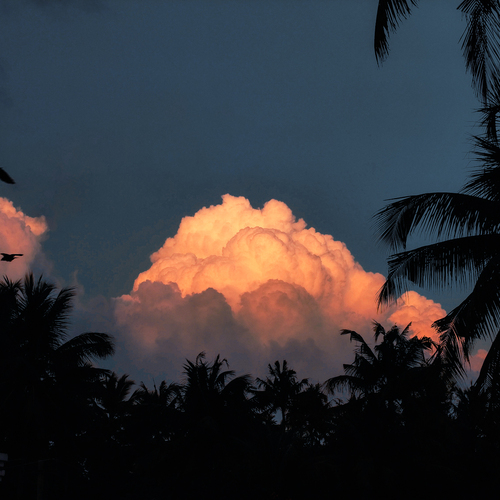 Photo #13791085