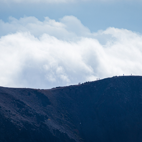 Photo #13791174