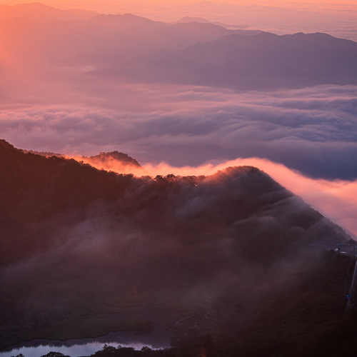 Photo #13791180