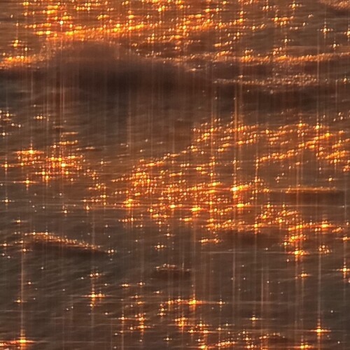 Photo #13791198