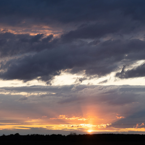 Photo #13791239
