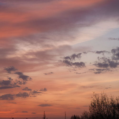 Photo #13791249