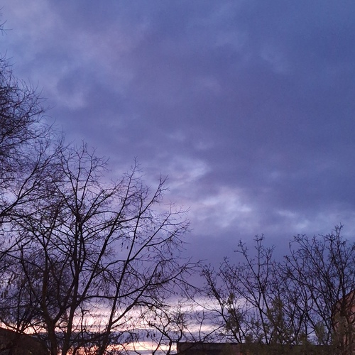 Photo #13791252