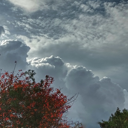 Photo #13791260