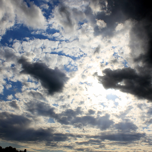 Photo #13791301