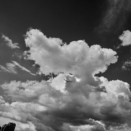 Photo #13791323