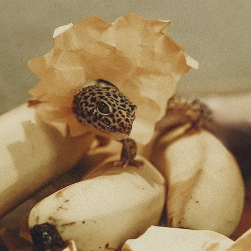 Photo #13791330