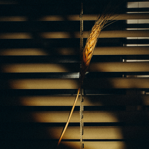 Photo #13791331