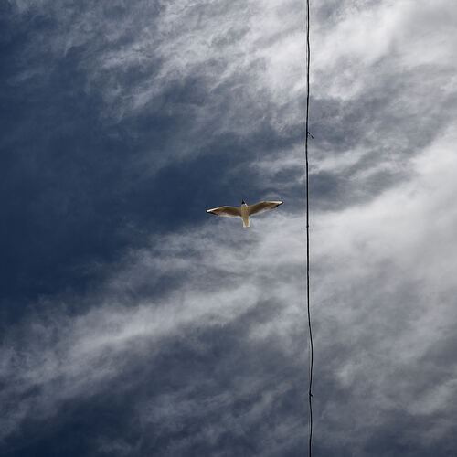 Photo #13791395