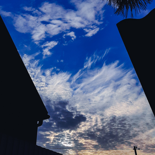 Photo #13791448