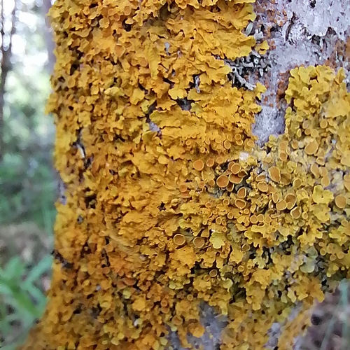 Photo #13791455