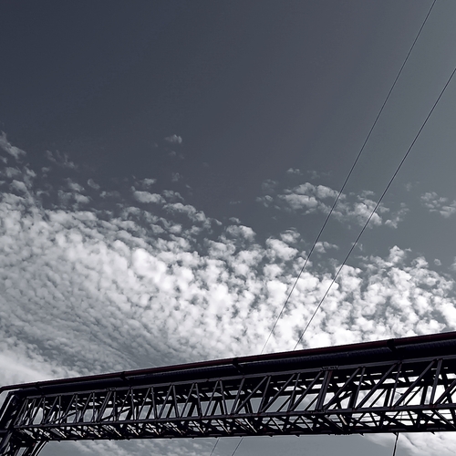 Photo #13791463