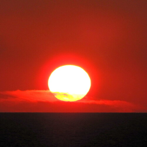Photo #13791475