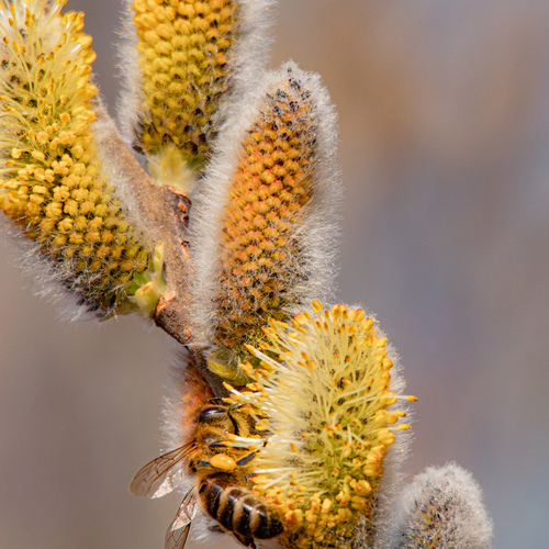 Photo #13791553