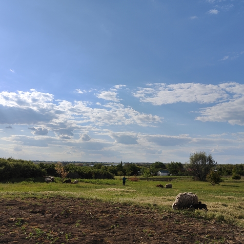 Photo #13791621