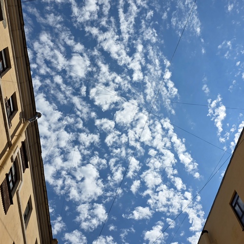 Photo #13791622