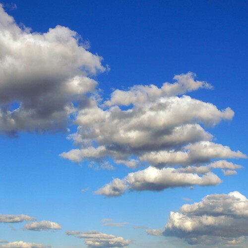 Photo #13791635