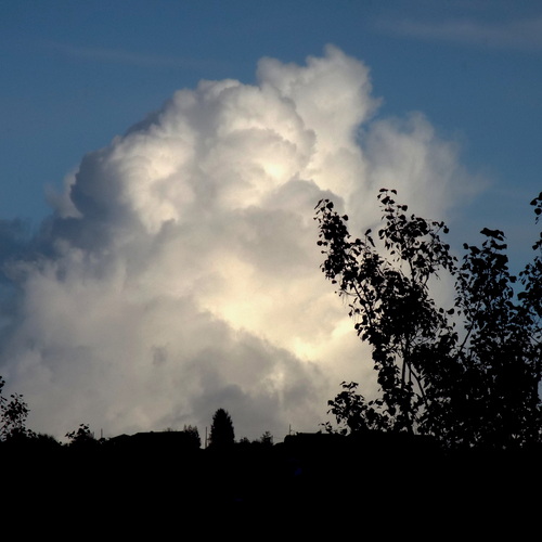 Photo #13791805