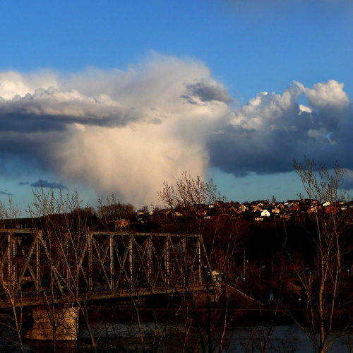 Photo #13791810