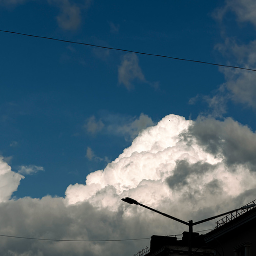 Photo #13791962