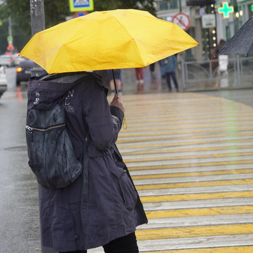Photo #13791969