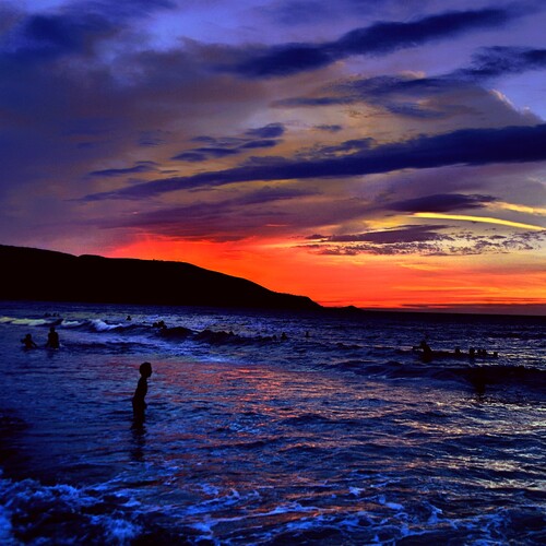 Photo #13792007