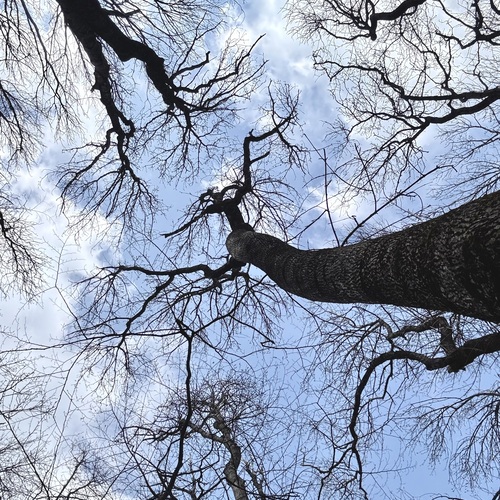 Photo #13792074