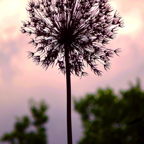 Photo #13792132