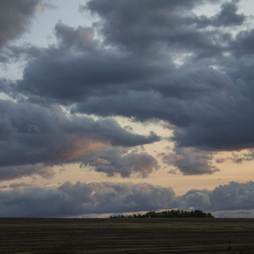 Photo #13792226