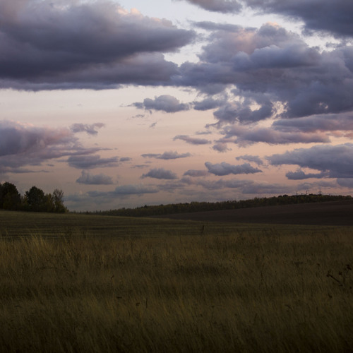 Photo #13792228