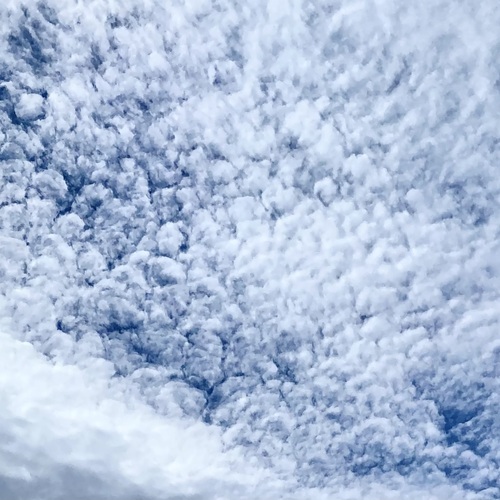 Photo #13792243