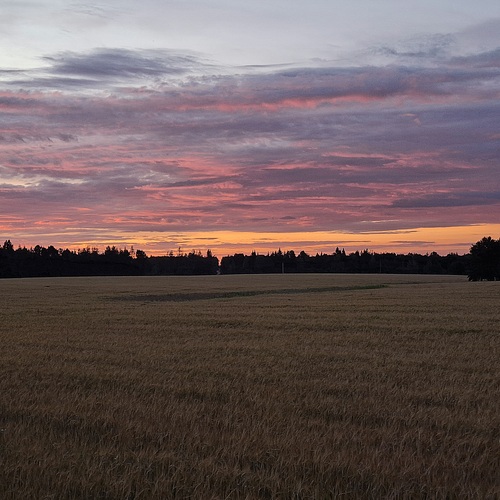 Photo #13792341
