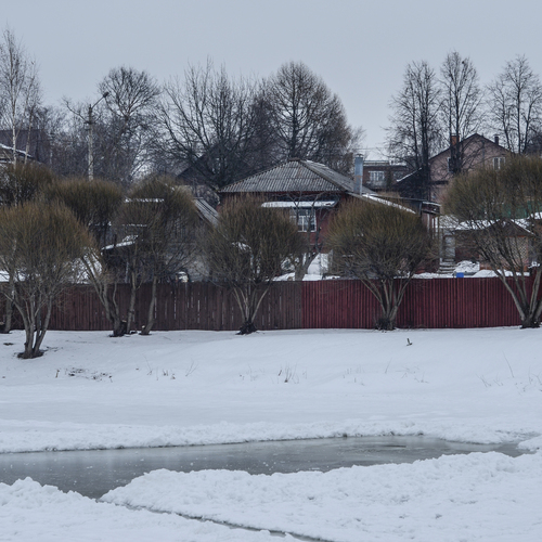 Photo #13792351