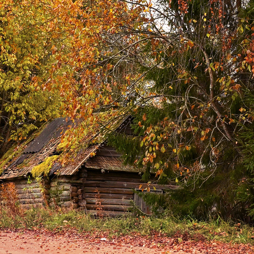Photo #13792371