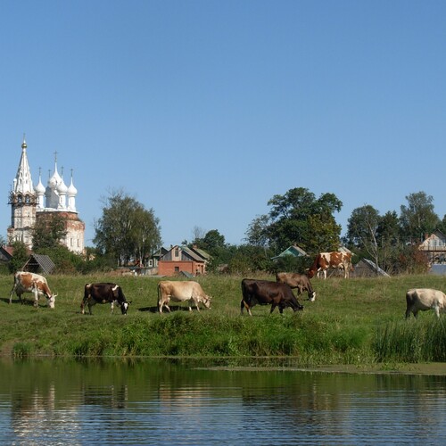 Photo #13792379