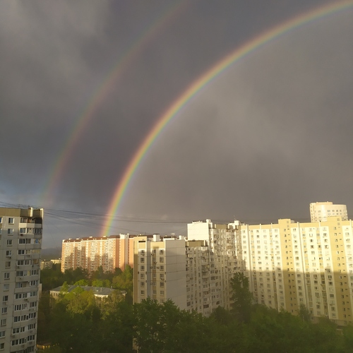 Фотография #13792384