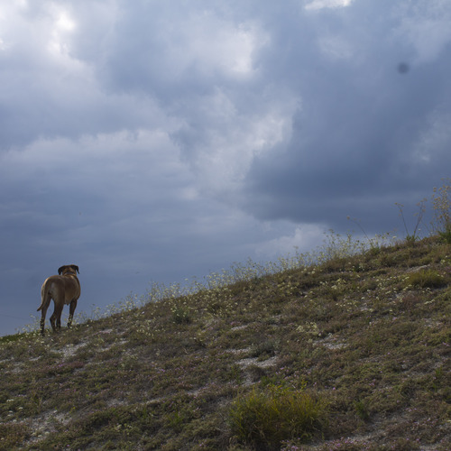 Photo #13792406