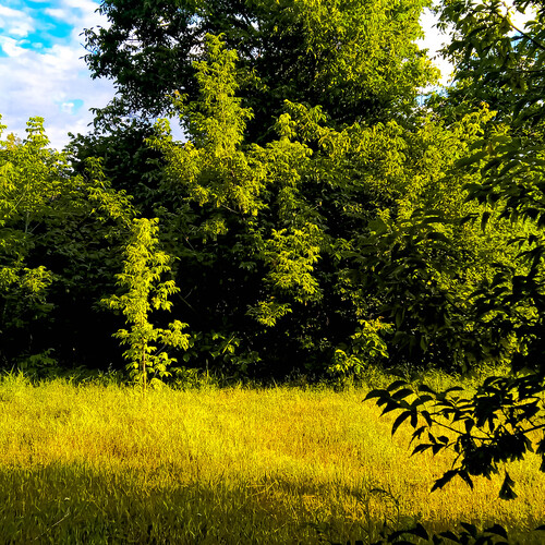 Photo #13792408