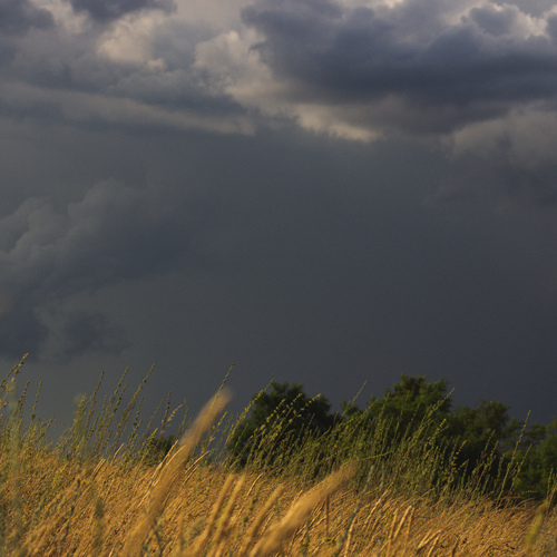 Photo #13792464