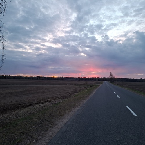 Photo #13792469