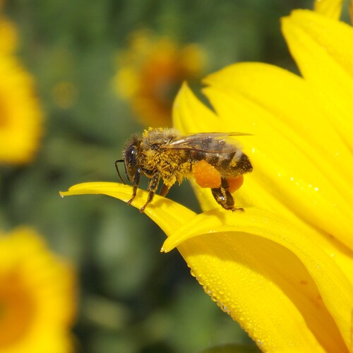 Photo #13792484
