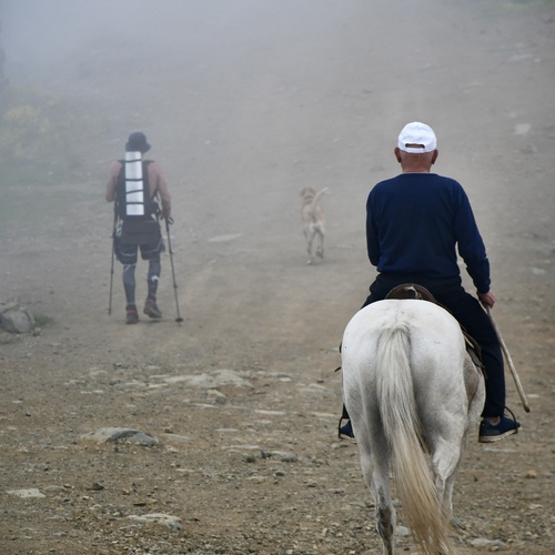 Photo #13792520