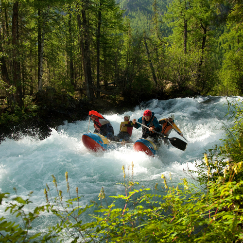 Photo #13792545