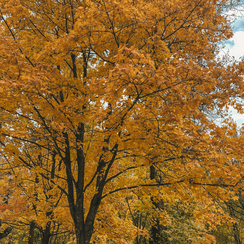 Photo #13792552