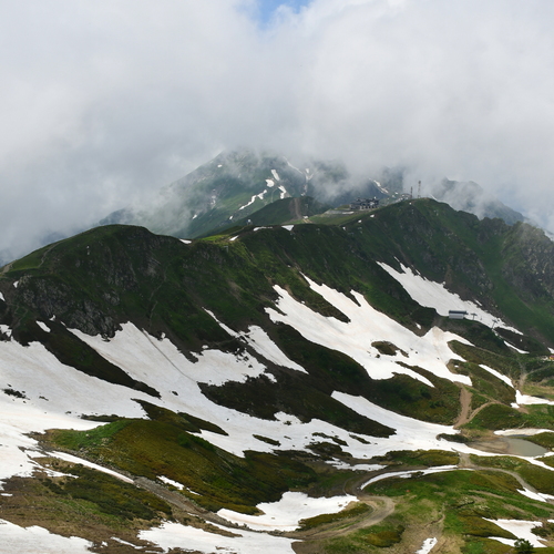 Photo #13792565