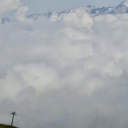 Photo #13792575