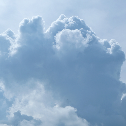 Photo #13792583