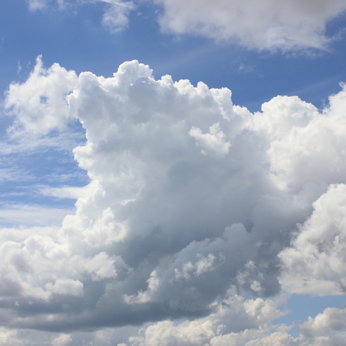 Photo #13792609