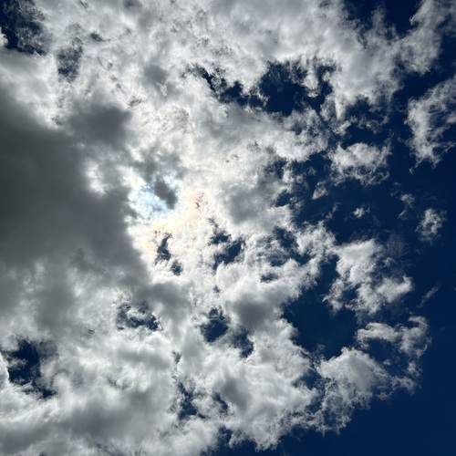 Photo #13792610